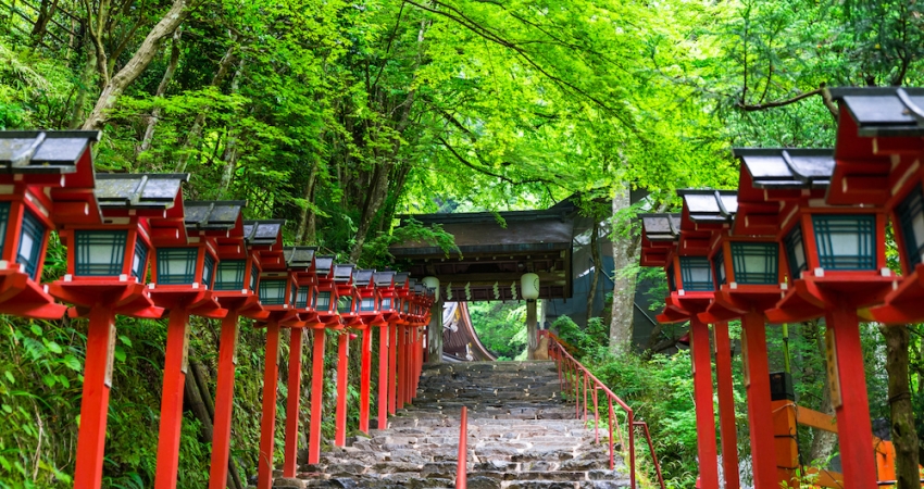 Sakura Dönemi • Japonya Turu • Vizesiz • Tüm Turlar Dahil • Qatar HY ile • 7 Gece 10 Gün (SAW)