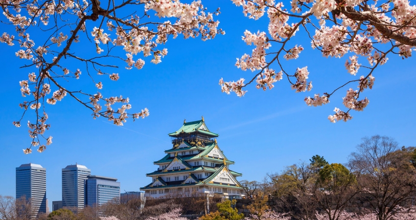 Sakura Dönemi • Japonya Turu • Vizesiz • Tüm Turlar Dahil • Qatar HY ile • 7 Gece 10 Gün (SAW)