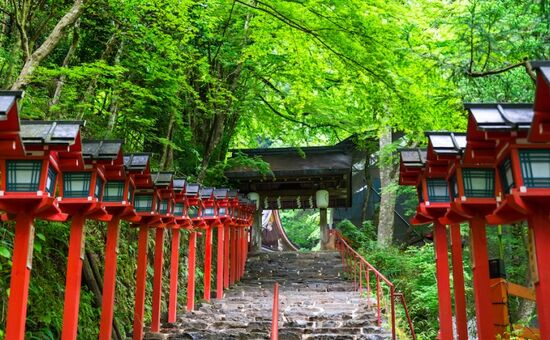 Class Japonya Turu I Ekstra Turlar Dahil I Etihad Hava Yolları ile I 6 Gece 9 Gün (2026 Dönemi)