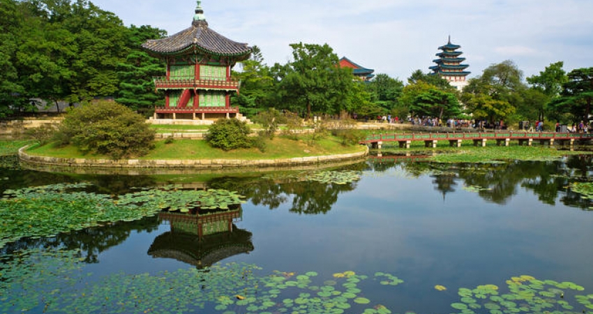 Japonya Turu I Vizesiz I Tüm Turlar Dahil • THY ile I 6 Gece 9 Gün