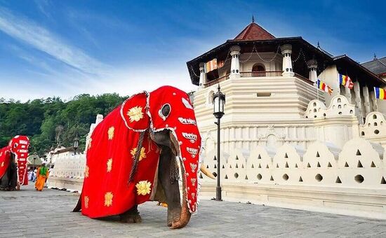 Sri Lanka Turu I Air Arabia ile I 5 Gece 8 Gün