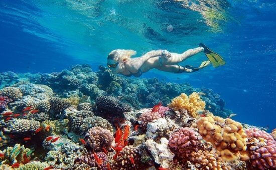 Ankara Çıkışlı I Nil'in Muhteşem Dörtlüsü Mısır Turu I Ajet HY ile I 6 Gece 8 Gün