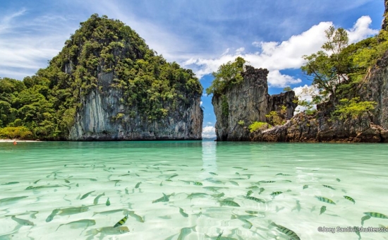 Bella Bangkok & Phuket Turu I Ekstra Turlar Dahil I THY İle I 6 Gece 8 Gün (2026 Dönemi)  (BKK-HKT)