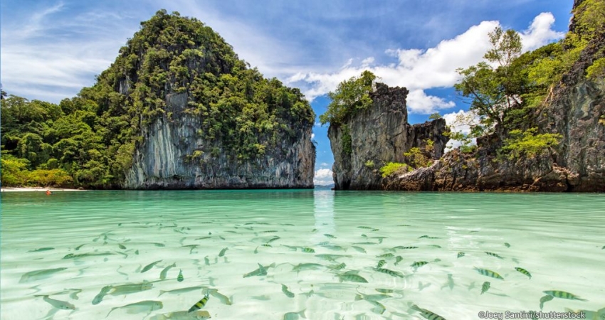 Ramazan Bayramı Özel I Tayland İncileri Turu I Vizesiz I THY ile I 7 Gece 8 Gün