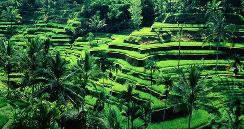 Bali Turu I Emirates HY ile I 5 Gece 8 Gün