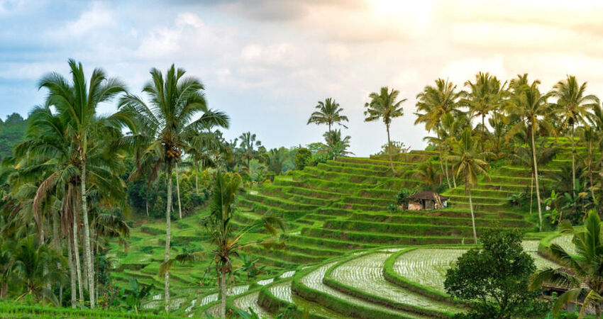 Egzotik Bali Turu I Singapur HY ile I 5 Gece Konaklama I 2026 (DPS-DPS)