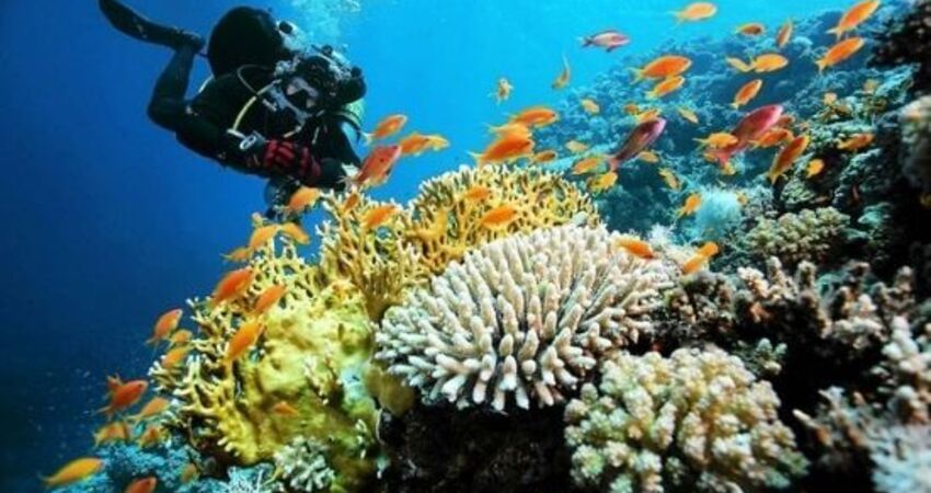 Ankara Çıkışlı I Sharm El Sheikh Turu I Vizesiz I PGS ile I 4 Gece 5 Gün