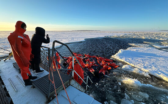 Büyüleyici Kuzey Işıkları & Lapland Turu I Ekstra Turlar Dahil I 3 Gece 4 Gün I THY ile