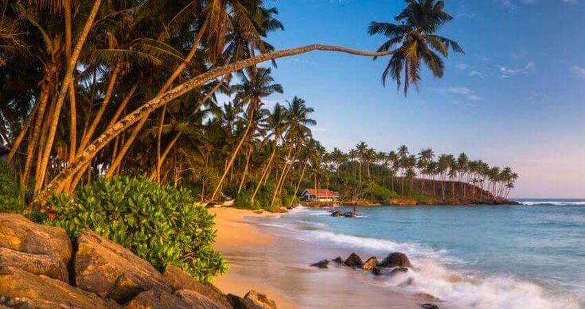 Sri Lanka Turu I THY Direk Sefer ile I 5 Gece 7 Gün