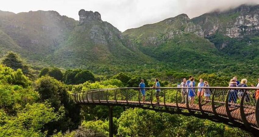 Muhteşem Güney Afrika Turu | 6 Gece 9 Gün | Vizesiz | Qatar HY ile