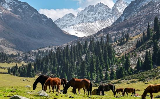 Royal Kırgızistan Turu  | Ekstra Turlar Dahil  | Vizesiz | 4 Gece | THT ile