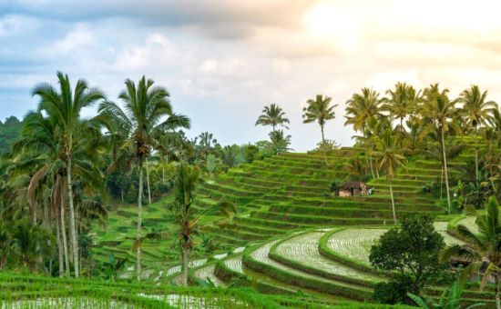 Royal Bali - Ubud Turu  |  Ekstra Turlar Dahil  |  6 Gece  |  THY ile