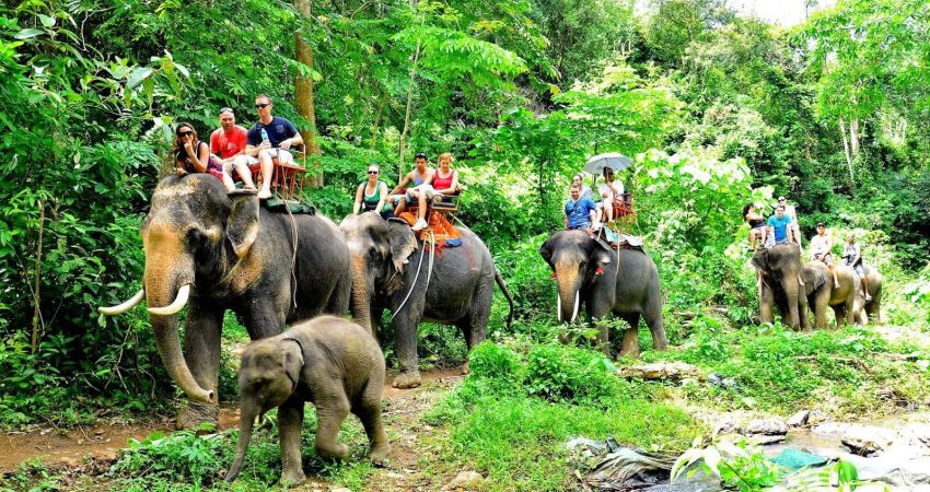 Royal Phuket &  Singapur Turu  |  Ekstra Turlar Dahil  |  5 Gece  |  Singapur Havayolları