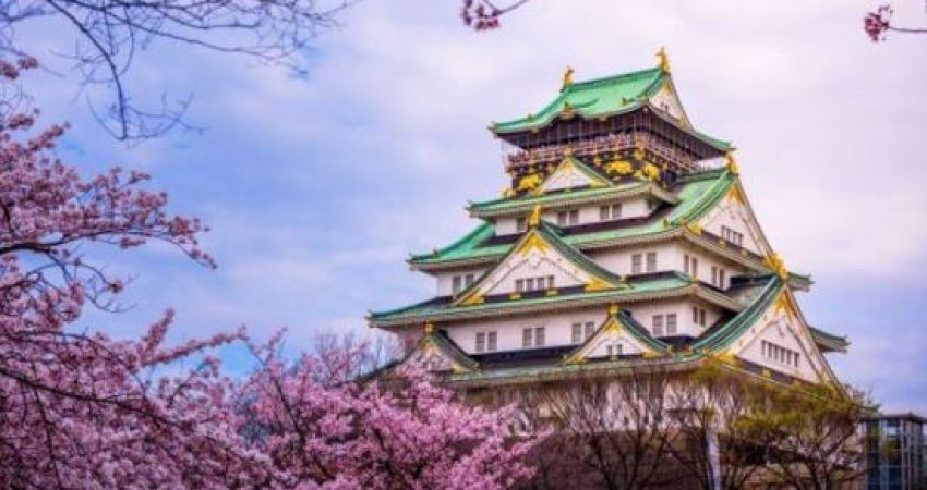 Royal Japonya Turu | Ekstra Turlar Dahil  |  6 Gece  | All Nippon Airways