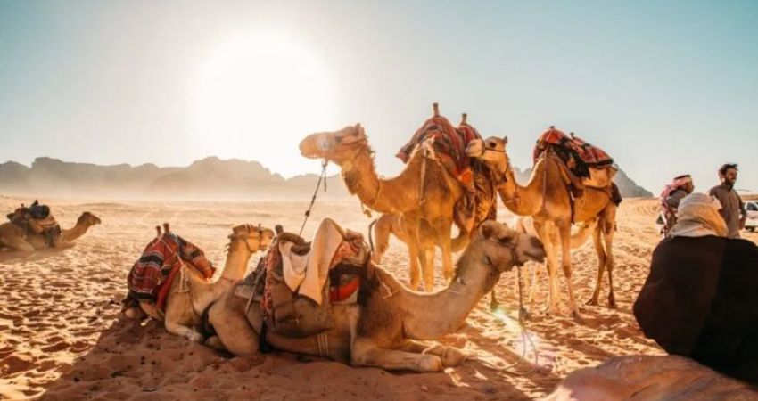 Royal Ürdün Turu  |  Petra Kamp Konaklama ve Ekstra Turlar Dahil  |  4 Gece - 5 Gün  |  THY ile