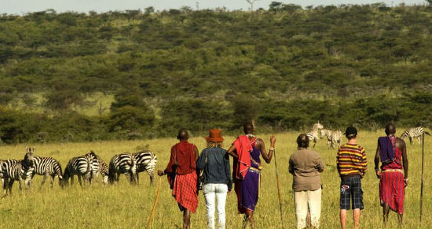 Royal Kenya Safari Turu  |  Ekstra Turlar Dahil  |  5 Gece  | THY ile