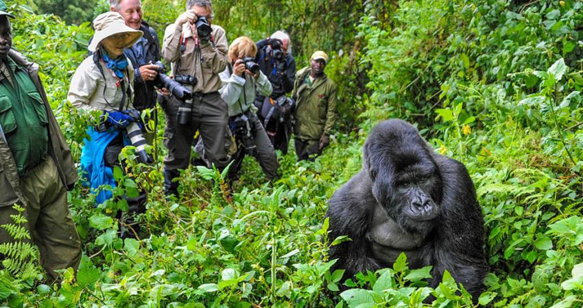 Bella Uganda Turu  |  Tüm Ekstra Turlar Dahil  |  7 Gece - 8 Gün  |  THY ile