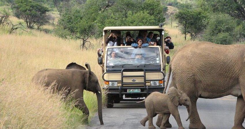 Maxi Güney Afrika Turu  |  Ekstra Turlar Dahil  |  7 Gece - 8 Gün  |  THY ile (JNB-CPT)