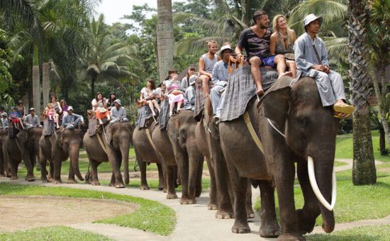 Phuket &  Bangkok Turu  |  7 Gece  |  THY ile (BKK-HKT)