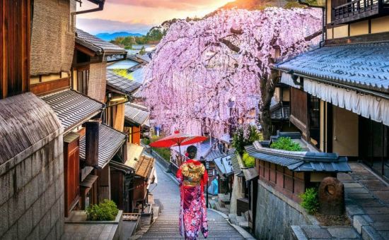 Mega Japonya &  Kore Turu  |  Ekstra Turlar Dahil  |  7 Gece - 8 Gün  |  THY ile (ICN-HND)