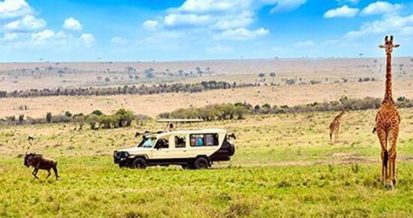 Kenya Mombasa & Safari Turu  |  7 Gece  |  THY ile