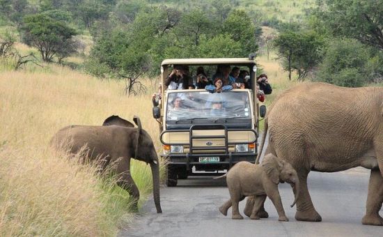 Muhteşem Güney Afrika Turu  |  7 Gece - 8 Gün  |  THY ile (CPT-JNB)