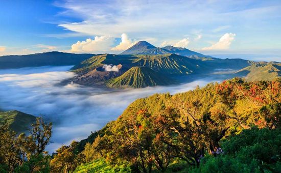 Class Ubud & Bali Turu  |  Ekstra Turlar Dahil  |  6 Gece 7 Gün  |  THY ile (DPS-DPS)