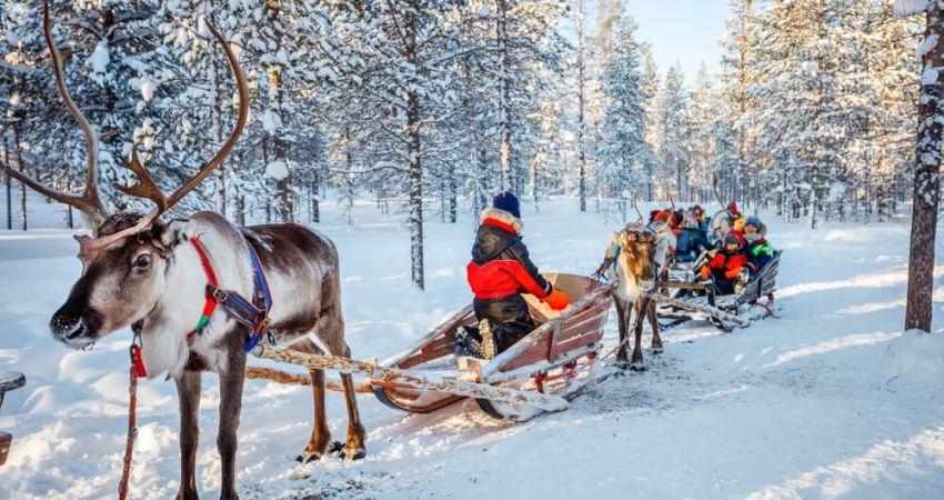 Royal Lapland Turu Beyaz Rotalar  |  Ekstra Turlar Dahil  |  3 Gece 4 Gün  |  THY ile (Olof Hotel)