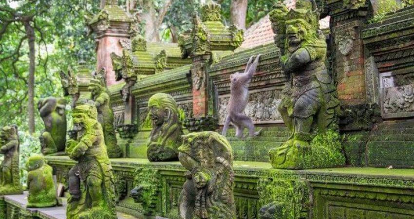 Class Ubud &  Bali Turu  │  Ekstra Turlar Dahil  │  7 Gece  │  THY ile