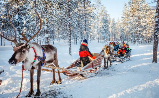 Royal Lapland Turu  |  Ekstra Turlar Dahil  |  4 Gece - Park Hotel Konaklama  |  THY ile