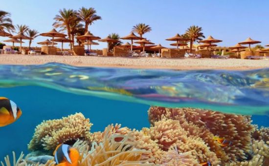 Kurban Bayramı Özel Sharm El Sheikh Turu  |   4 Gece 5 Gün  |  Freebird HY İle