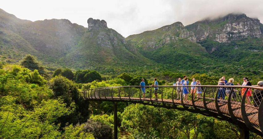Royal Güney Afrika Safari Turu | Ekstra Turlar Dahil | 7 Gece | Emirates Havayolları İle